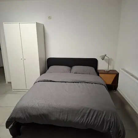 Apartment In Center *