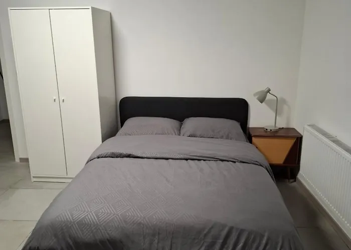 Apartman In Center *