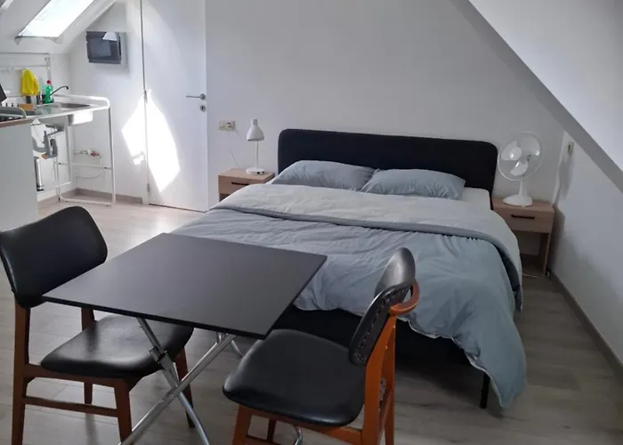 Apartman In Center